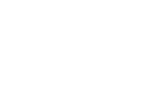 Chad and Dan Construction